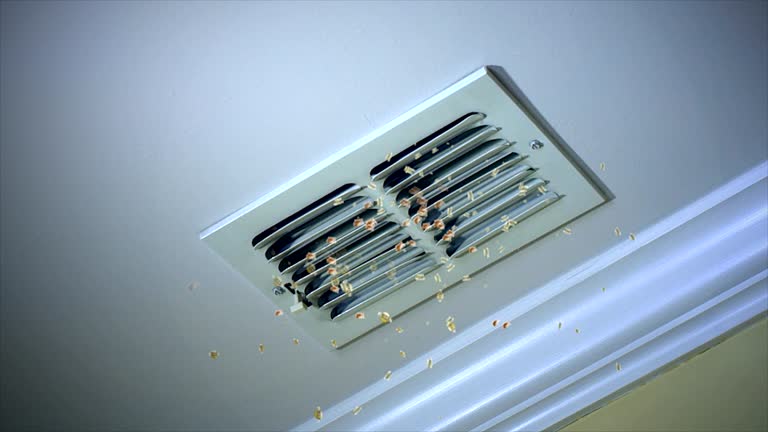 Affordable HVAC Duct Cleaning in South Alamo, TX