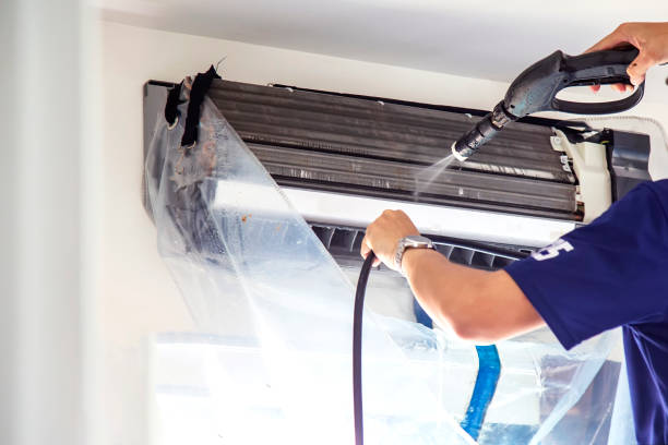 Best Air Quality Test  in South Alamo, TX