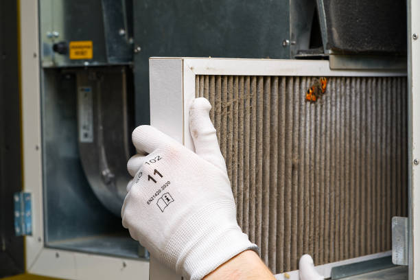Best Affordable HVAC Duct Cleaning  in South Alamo, TX