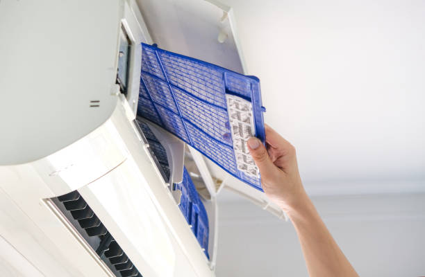 Best Ventilation Cleaning Services  in South Alamo, TX