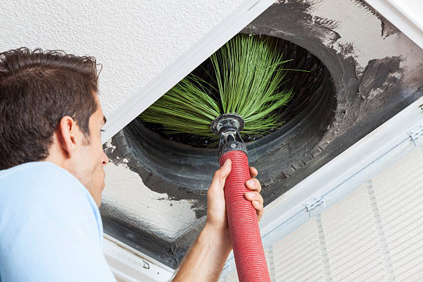 Best HVAC Air Duct Cleaning  in South Alamo, TX